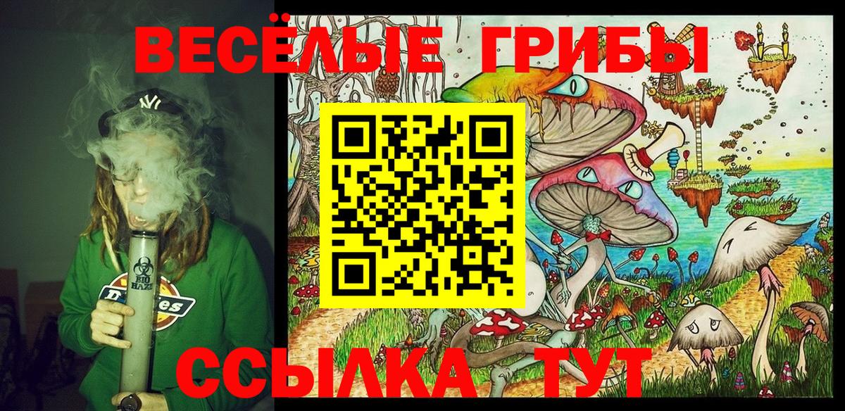 Галлюциногенные грибы Magic Shrooms Унеча