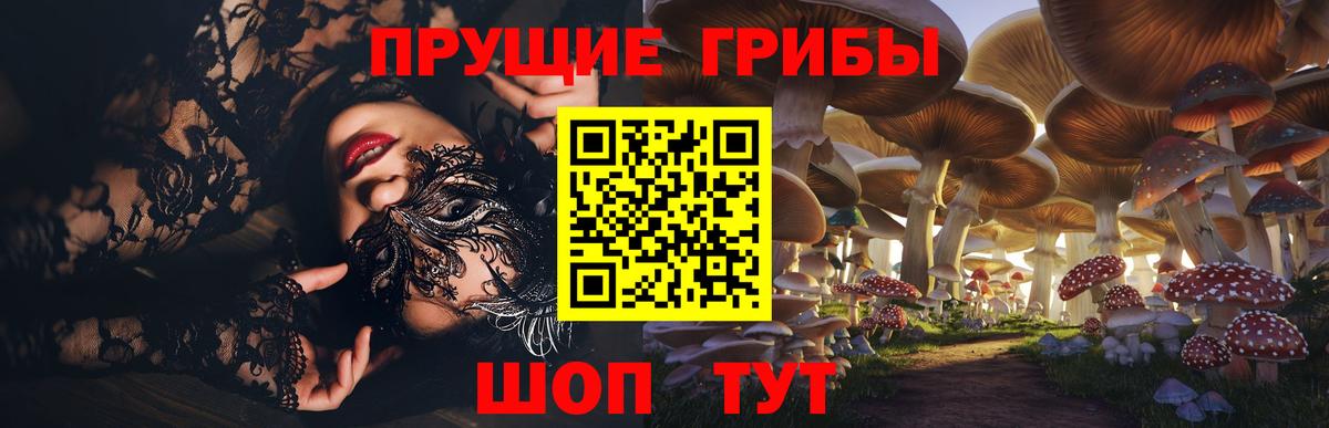 Унеча  Псилоцибиновые грибы прущие грибы  Вход с VPN  Галлюциногенные грибы MAGIC MUSHROOMS 