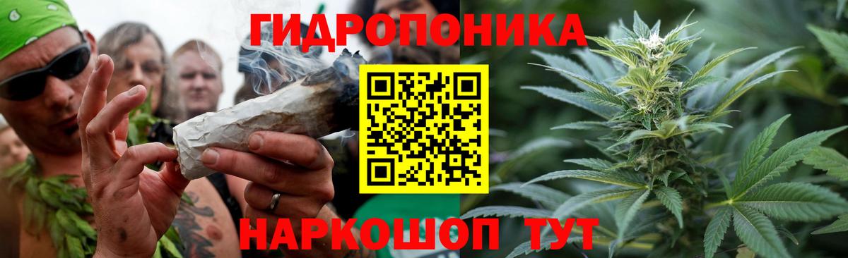 Марихуана сатива  МАРИХУАНА тримм  Вход с VPN  Марихуана сатива  Унеча 